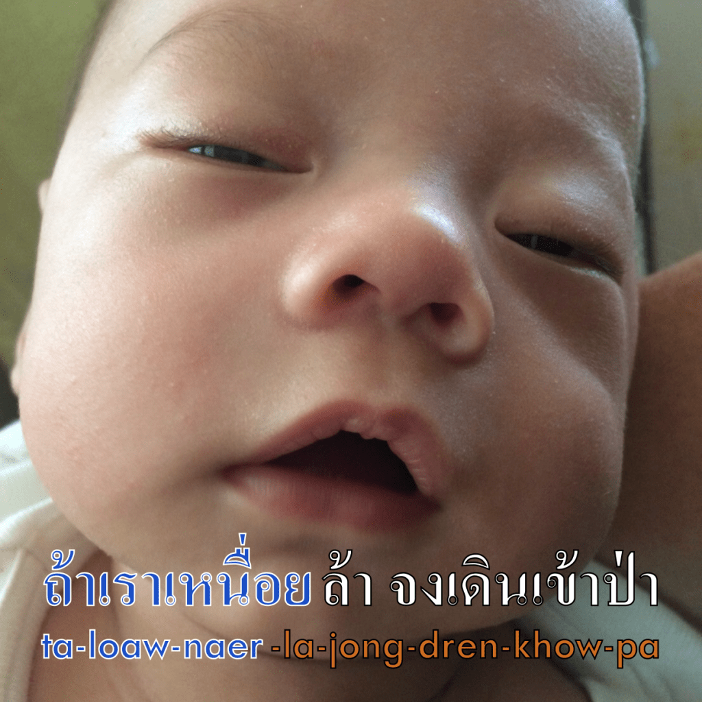 ถ้าเราเหนื่อยล้า จงเดินเข้าป่า